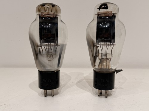 Pair arcturus type - pair,